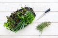 Plate with flavoring, knife and thyme on white