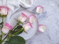 Plate flower rose event backgroundn elegance rustic