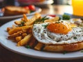 a plate of food with a fried egg and french fries Royalty Free Stock Photo