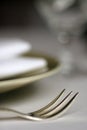 Plate and fork, Royalty Free Stock Photo