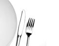 Plate Fork Knife