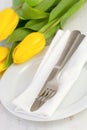 Plate with fork, knife, napkin Royalty Free Stock Photo