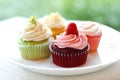 Plate of four colorful springtime cupcakes Royalty Free Stock Photo