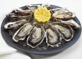 Plate with French Marennes d`Oleron Oysters, ostrea edulis and Lemon Royalty Free Stock Photo