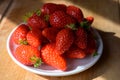 Plate with french red ripe sweet strawberries Fraises de Plougastel, harvested in France