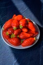 Plate with french red ripe sweet strawberries Fraises de Plougastel, harvested in France