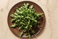 Plate of fresh arugula on beige background, top view.