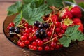 Plate with fresh berries (strawberries and currants). Royalty Free Stock Photo