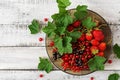 Plate with fresh berries strawberries and currants. Royalty Free Stock Photo