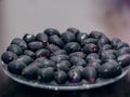 A Plate of Fresh Black Plum