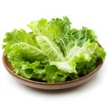 A plate of fresh Caesar salad, isolated on a white background, Royalty Free Stock Photo