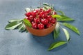 Plate with fresh cherries with green leaves.