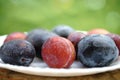 Plate with fresh delicious plums