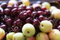 A plate with a fresh fruits and berries. Sweet cherries, apricots, peaches and nectarines Royalty Free Stock Photo