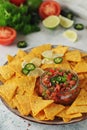 Fresh homemade pico de gallo with corn chips Royalty Free Stock Photo