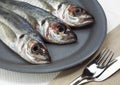 Plate with Fresh Horse Mackerel, trachurus trachurus Royalty Free Stock Photo