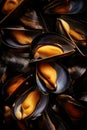 plate with fresh mussles Royalty Free Stock Photo