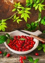 Plate with fresh organic rose hip berries with twigs and leaves.