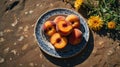 Juicy Ripe Peaches on Vintage Plate with Summer Flowers, Sunlit Still Life Royalty Free Stock Photo