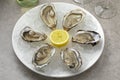 Plate with fresh raw Pacific oysters, Japanese oyster, on ice