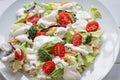 Plate of Fresh Salad with Ranch Dressing Royalty Free Stock Photo