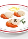 Plate with Fresh Scallops and Dill, pecten maximus against White Background Royalty Free Stock Photo