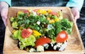 The plate with fresh vegetables salad. Girl shows the plate Royalty Free Stock Photo