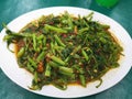 A plate of fried chilli kang kong vegetables Royalty Free Stock Photo