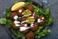 Plate of fried falafel balls served with fresh green cilantro and lemon, top view on rustic concrete background