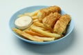 Plate with fried fish and chips, and sauce on white background Royalty Free Stock Photo