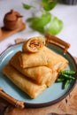 A plate of fried spring roll with vegetable and vermicelli on the table Royalty Free Stock Photo