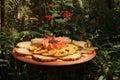 Plate of fruit for butterflies in birds park in Brazil