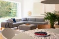 Plate with fruits placed on table in blurred foreground in real photo of bright living room interior with window and corner lounge