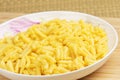 Plate full of delicious Macaroni and chesee