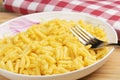 Plate full of delicious Macaroni and chesee Royalty Free Stock Photo