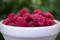 A plate full of fresh ripe raspberries with green leaves Royalty Free Stock Photo