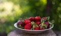 A plate full of fresh strawberries picked from the village garden. photographed in natural light with blurred wooden background Royalty Free Stock Photo