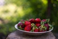 A plate full of fresh strawberries picked from the village garden. photographed in natural light with blurred wooden background Royalty Free Stock Photo