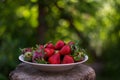 A plate full of fresh strawberries picked from the village garden. photographed in natural light with blurred wooden background Royalty Free Stock Photo