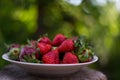 A plate full of fresh strawberries picked from the village garden. photographed in natural light with blurred wooden background Royalty Free Stock Photo