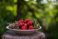 A plate full of fresh strawberries picked from the village garden. photographed in natural light with blurred wooden background Royalty Free Stock Photo