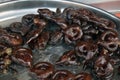 A plate full of mouth watering mawa jalebis. Indian Mawa Jalebi garnished with dry fruits