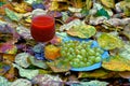 A plate with grapes and a glass with a red drink stand on yellow leaves Royalty Free Stock Photo