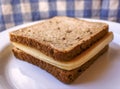 Plate of Greek Whole Wheat Sandwich with Edam Cheese Slices