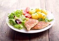 Plate of grilled chicken breast with vegetables Royalty Free Stock Photo