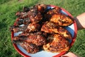 Plate of grilled chicken