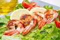 Plate of grilled prawns with salad and cherry tomatoes Royalty Free Stock Photo