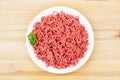 Plate with ground beef Royalty Free Stock Photo