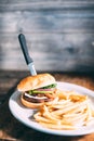 A plate of hamburger and fries