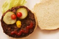 Hamburger Plate Face Royalty Free Stock Photo